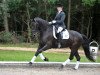 dressage horse Ninke 2 (Friese, 2003)