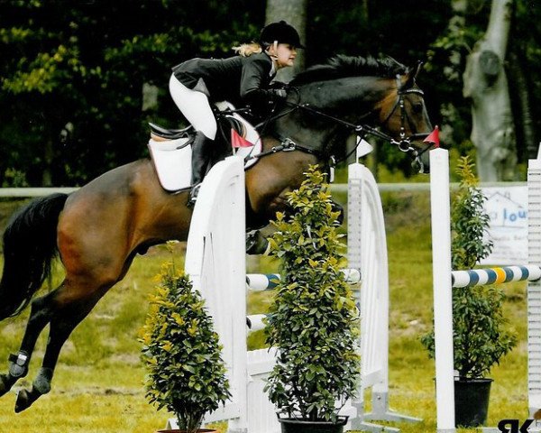 jumper Second Santano (German Warmblood, 2004, from Sioux)