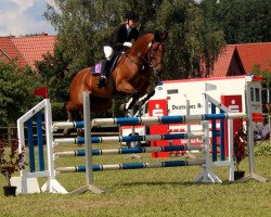 jumper Hennessy 80 (Hanoverian, 2002, from Heraldik xx)