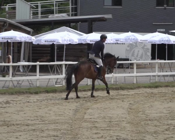 Reitturnier Siegen-Weidenau 2022