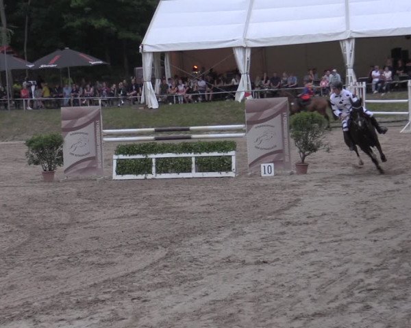 Reitturnier Lgl.-Oberhain, B95 2022
