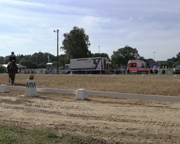 Reitturnier Pennigbüttel 2022