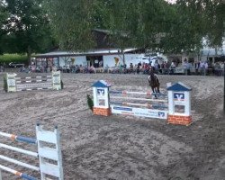 jumper Vieanne (KWPN (Royal Dutch Sporthorse), 2002)