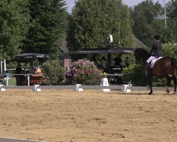 Reitturnier Pennigbüttel 2022