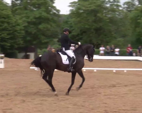 Reitturnier Neustadt/Aisch/Mfr. 2022