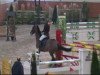 jumper Fighting Funny (Hanoverian, 2005, from Fighting Alpha)