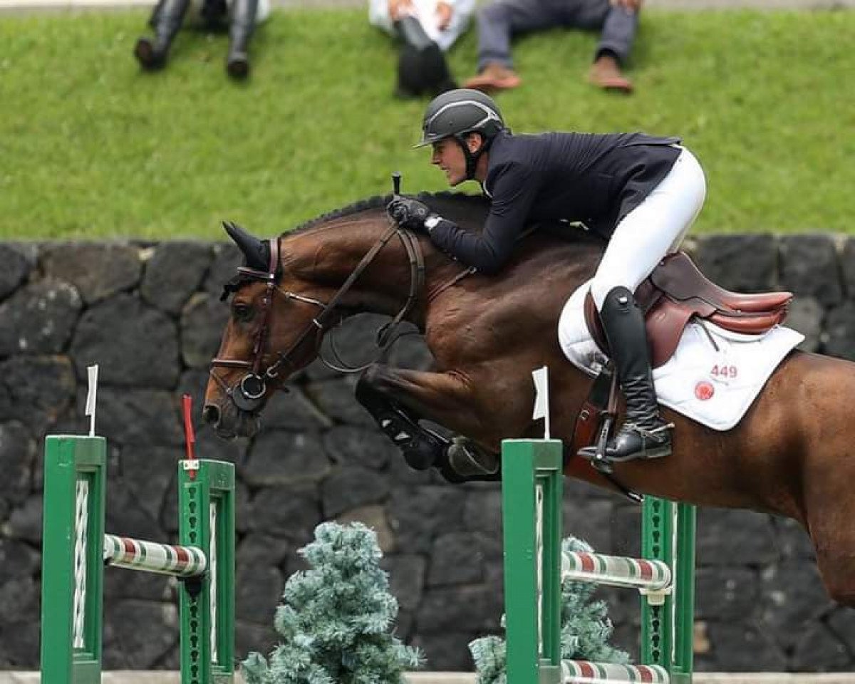 stallion Veyron (Oldenburg show jumper, 2006, from Conterno Grande)