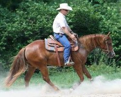 horse Kool Breeze Del Cielo (Quarter Horse,  , from OLena Cielo)