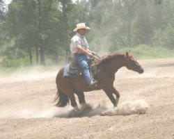 Pferd Fiesta Del Cielo (Quarter Horse, 2004, von OLena Cielo)