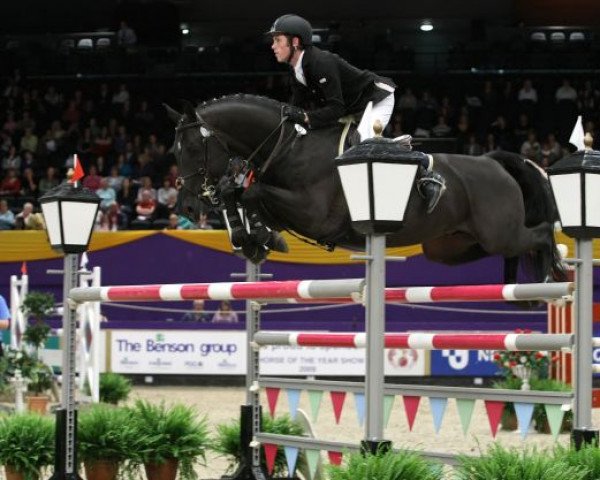 stallion Sebastian (KWPN (Royal Dutch Sporthorse), 1999, from Mermus R)