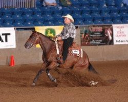 Pferd Okie Cielo (Quarter Horse, 2004, von OLena Cielo)