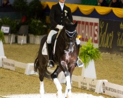 stallion Starlight 187 (Oldenburg, 2000, from Sandro Hit)