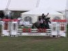 jumper Wilster 17 (Hanoverian, 1989, from Werther)