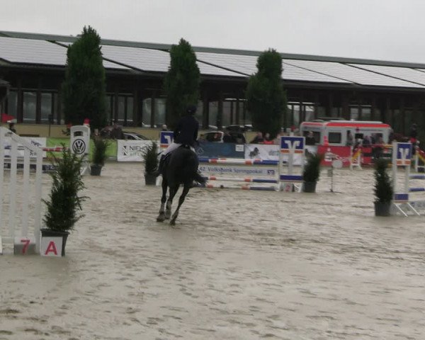 Reitturnier Everswinkel 2022