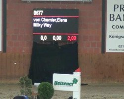 dressage horse Milky Way (Bavarian, 2008)