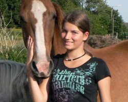 dressage horse Rasmus (Mecklenburg, 2010, from Riccochet)