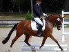 broodmare Die oder Keine (German Riding Pony, 2007, from FS Don't Worry)