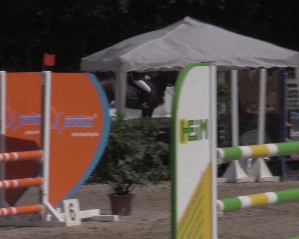 Reitturnier Lgl.-Oberhain, B95 2022