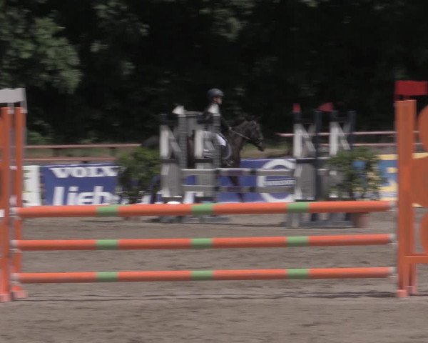 Reitturnier Lgl.-Oberhain, B95 2022