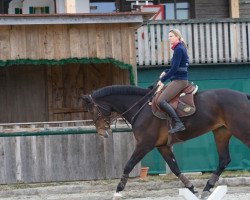 broodmare Sarah 400 (Bavarian, 2002, from Legendär I)