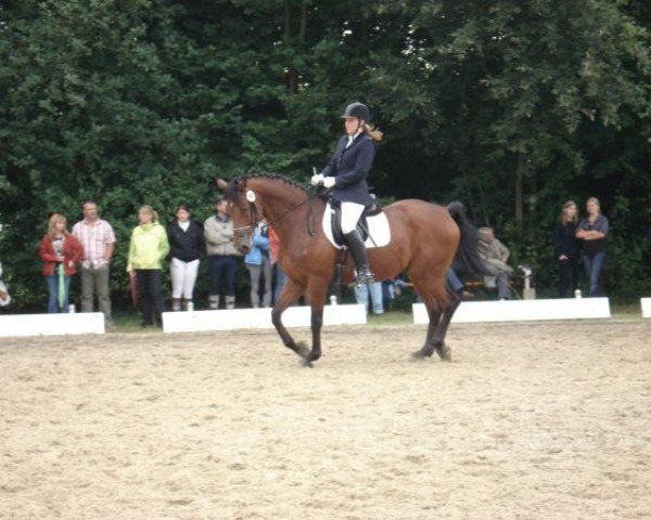horse Leo (Rhinelander, 1999, from Lanciano)