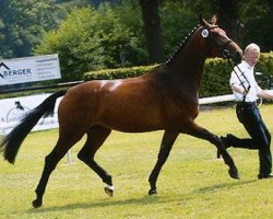 broodmare Fiodora (Westphalian, 2000, from Florestan I)