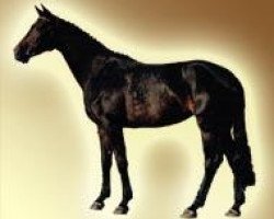 broodmare A'pershing (Westphalian, 1999, from Arpeggio)