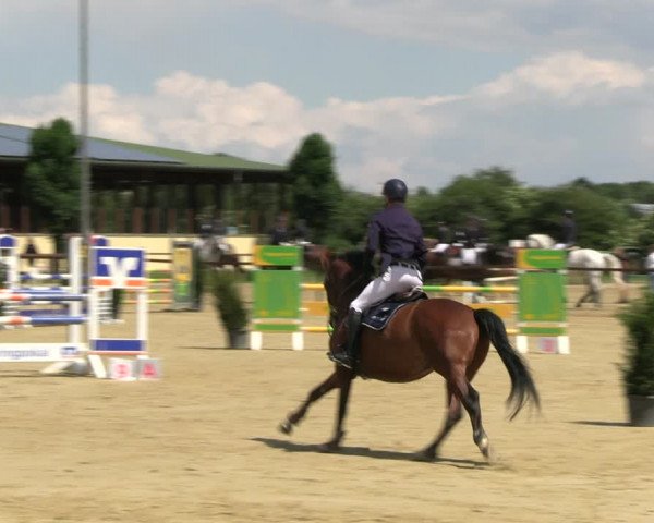 Reitturnier Everswinkel 2022