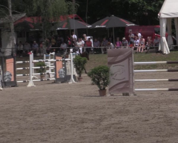 Reitturnier Lgl.-Oberhain, B95 2022