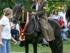 stallion Sanson (Peruvian Paso, 1989, from Destino)