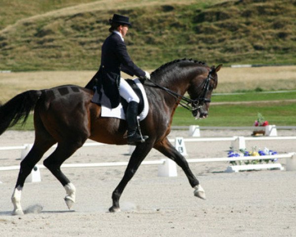 horse Landioso (Holsteiner, 1987, from Landgraf I)