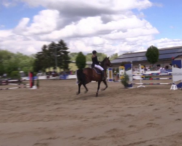Reitturnier Frechen-Grefrath - Sonnenhof 2022