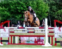 horse Donira-Nassaja (German Riding Pony, 2001, from Nawarro)