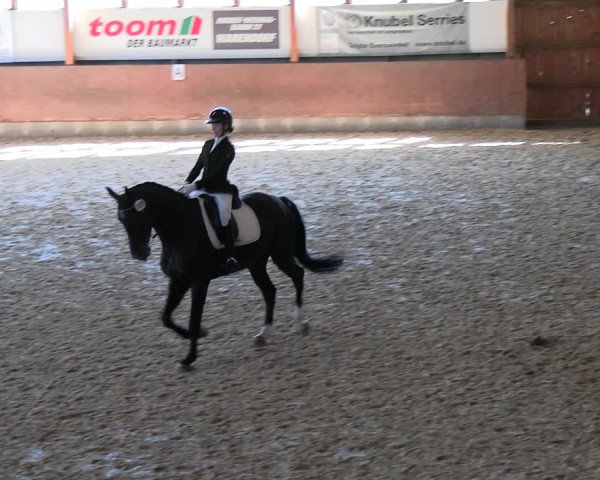Reitturnier Everswinkel 2022