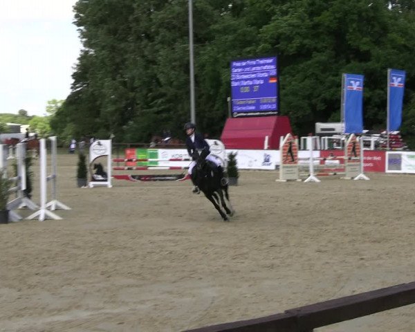 Reitturnier Everswinkel 2022