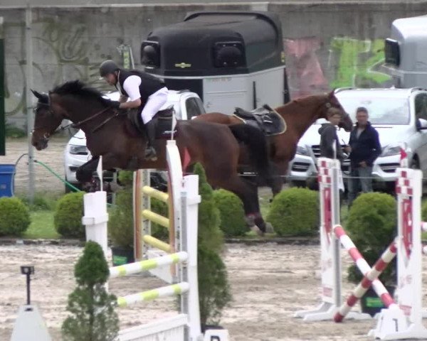 Reitturnier Schänzli, Basel 2022
