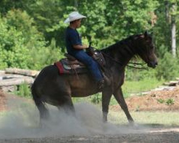 horse KC Electric Cowgirl (Quarter Horse, 2005, from Jacs Electric Spark)