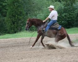 horse Luckygenuine Rooster (Quarter Horse, 2005, from OLena Cielo)