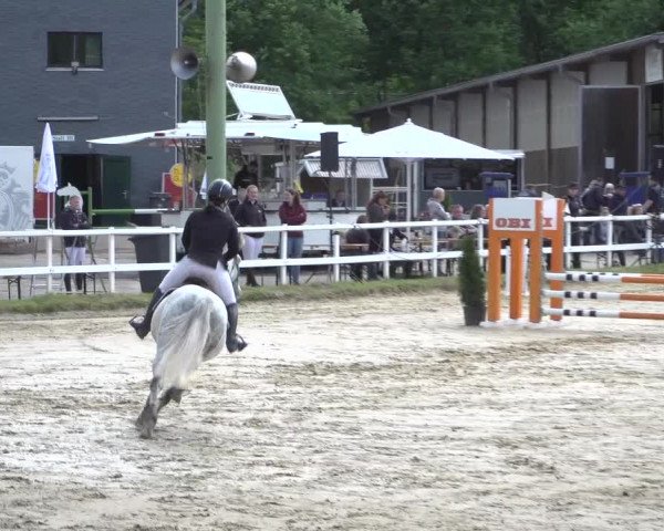 Reitturnier Siegen-Weidenau 2022