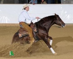 stallion Custom Del Cielo (Quarter Horse,  , from Custom Crome)