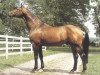 stallion Domfalk (Hanoverian, 1970, from Don Carlos 4088)