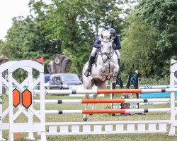 jumper Charlo S (German Sport Horse, 2016, from Come And Fly)