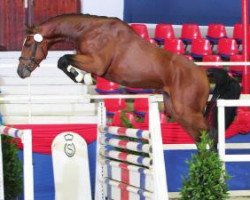 stallion Hengst von Lordanos (Hanoverian, 2010, from Lordanos)