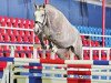 jumper Cornet's - Storm (Oldenburg show jumper, 2010, from Cornet's Stern)