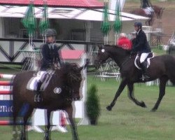 jumper Carioca 9 (Hanoverian, 2004, from Cranach)