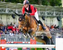 jumper Koblenz vd Middelstede (Belgian Warmblood, 2010, from Diktator van de Boslandhoeve)