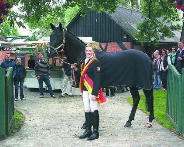 horse Casper K. (Oldenburg, 2001, from Concetto I)