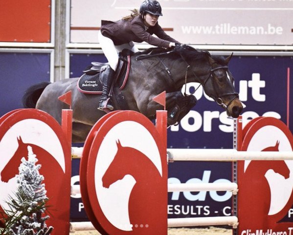 jumper Fancypina (KWPN (Royal Dutch Sporthorse), 2010, from Toulon)