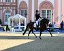 dressage horse Fayola 22 (Hanoverian, 2017, from Franklin)