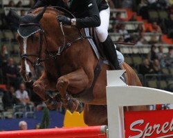 jumper Sterrehof's Uppity (KWPN (Royal Dutch Sporthorse), 2001, from Guidam)